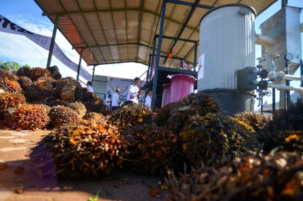 Produksi Sawit RI Terancam Susut 3 Juta Ton, Harga Berpotensi Naik