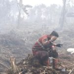 Tiga Kasus Kebakaran Hutan Jambi Diselidiki, Menhut Tegaskan Tindakan Tegas