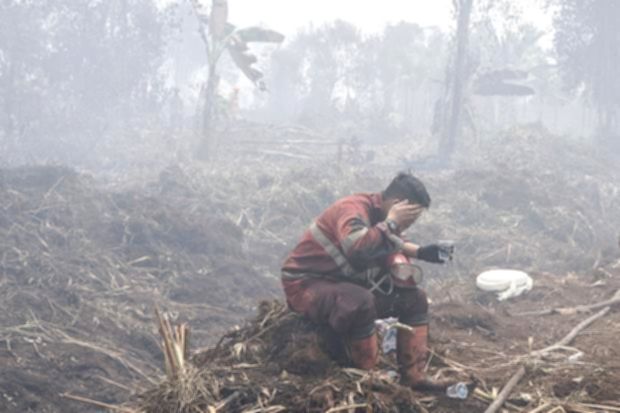 Tiga Kasus Kebakaran Hutan Jambi Diselidiki, Menhut Tegaskan Tindakan Tegas