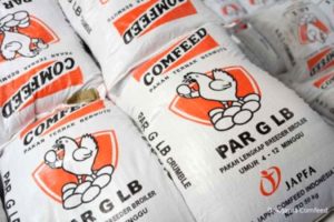 Harga Ayam Turun, Indo Premier Yakin Kinerja Japfa Pulih Semester II