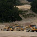 Merdeka Gold (EMAS) Incar Masuk Indeks GDX Perluas Akses Investor