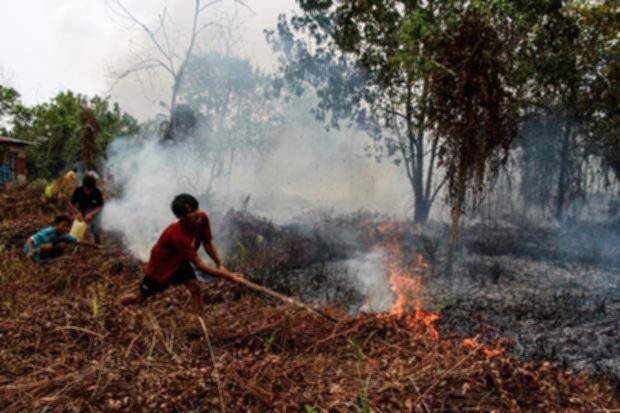 Kementerian Kehutanan Sanksi 6 Perusahaan Akibat Kebakaran 1.511 Hektare Lahan