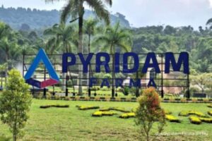 Pendapatan Pyridam Farma (PYFA) Melonjak 16,8% di Semester I-2026