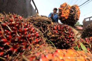 Memperkuat Price Discovery demi Membentuk Harga Acuan Komoditas Domestik