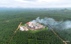 Saham CPO Dibayangi Aturan Reforma Agraria, LSIP dan TAPG Pilihan Analis