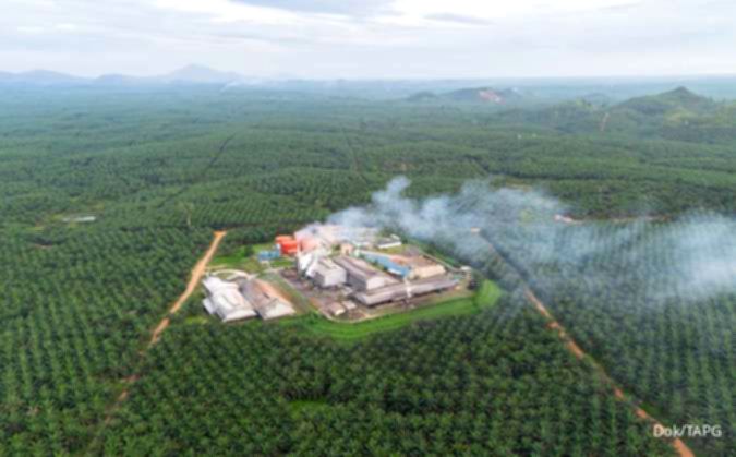 Saham CPO Dibayangi Aturan Reforma Agraria, LSIP dan TAPG Pilihan Analis