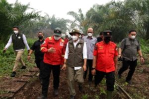 Raja Juli Didorong Larang Sawit di Lahan Bekas Kebakaran