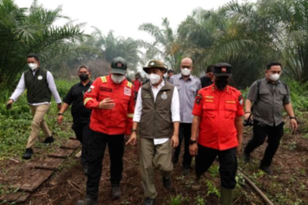 Raja Juli Didorong Larang Sawit di Lahan Bekas Kebakaran