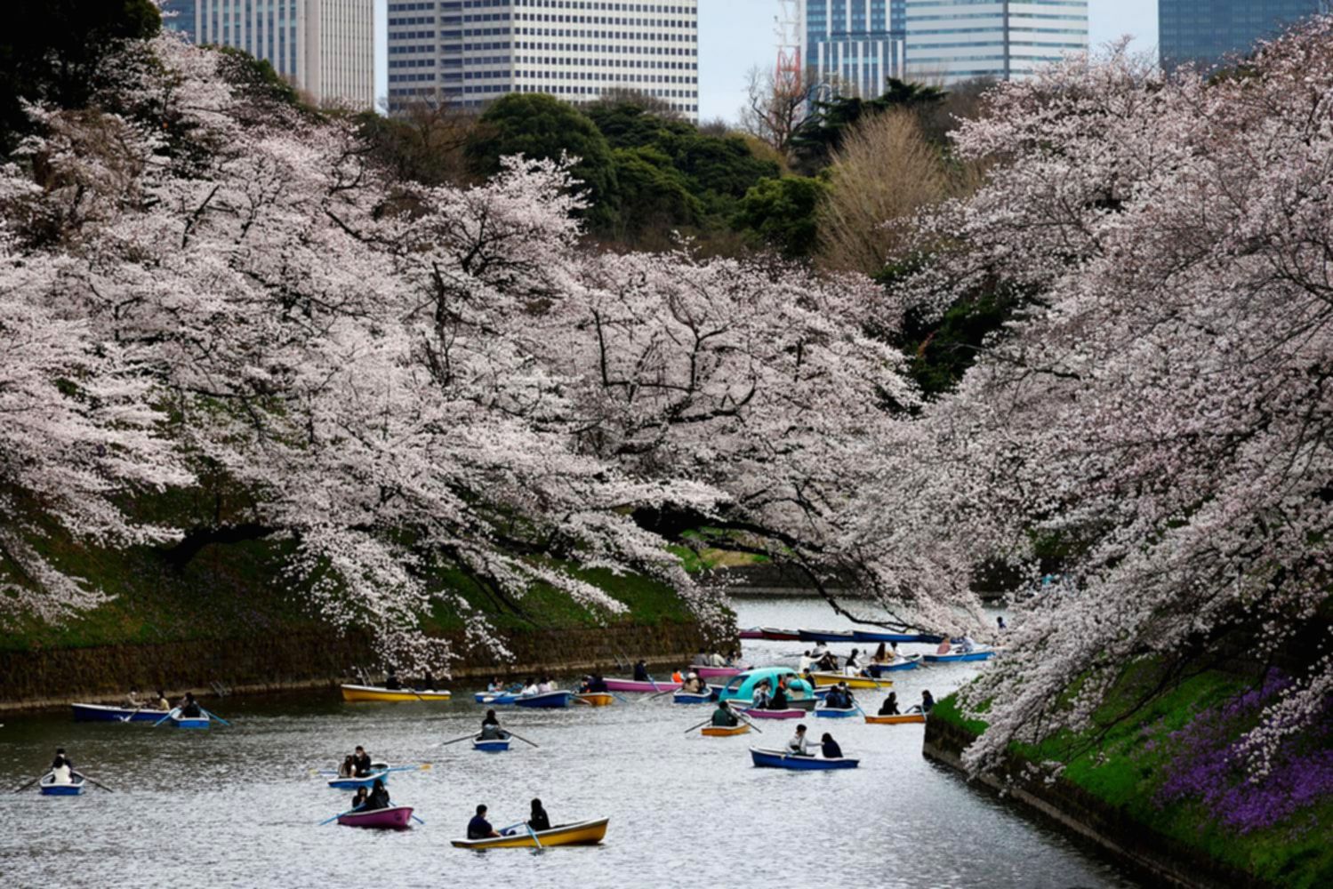 Upah Riil Warga Jepang Naik 2,4%, Tertinggi Sejak 2021