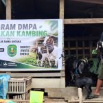 Desa Bebas Api: Amankan Wilayah dari Karhutla dan Dorong Ekonomi