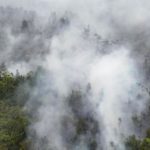 Polusi Udara Kepung Kalimantan, Berikut Daftar Wilayah dengan Kualitas Buruk