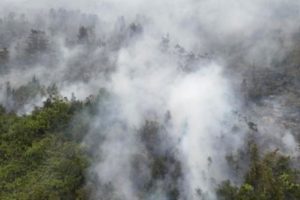 Polusi Udara Kepung Kalimantan, Berikut Daftar Wilayah dengan Kualitas Buruk