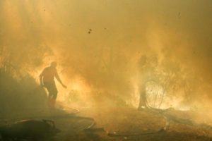 Kebakaran Hutan Kawah Ijen Mereda, Operasi Pemadaman Udara Terus Berlanjut
