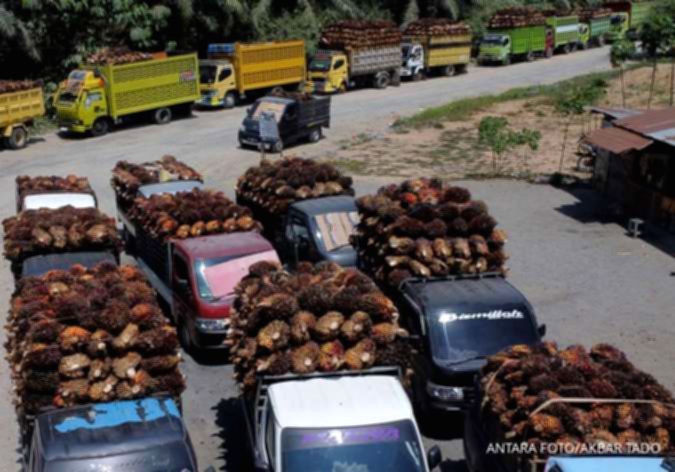 Harga CPO Melonjak, Simak Rekomendasi Saham Emiten Sawit Pilihan Analis