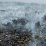 Karhutla Masih Kepung Sejumlah Wilayah Kalimantan, Kualitas Udara Memburuk