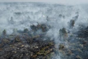 Karhutla Masih Kepung Sejumlah Wilayah Kalimantan, Kualitas Udara Memburuk