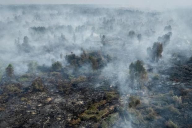 Karhutla Masih Kepung Sejumlah Wilayah Kalimantan, Kualitas Udara Memburuk