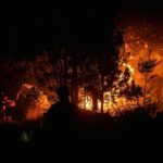 Walhi Sorot Risiko Inpres Larangan Bakar Hutan bagi Masyarakat