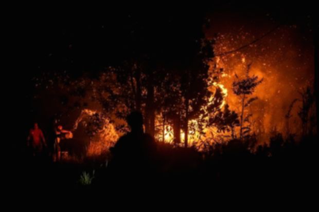 Walhi Sorot Risiko Inpres Larangan Bakar Hutan bagi Masyarakat