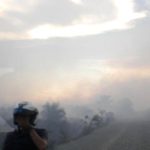 Risiko Kebakaran dan El Nino Mengintai, Indo Premier Pilih TAPG, DSNG