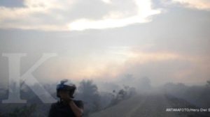 Risiko Kebakaran dan El Nino Mengintai, Indo Premier Pilih TAPG, DSNG