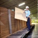 Prospek Sektor Pulp dan Kertas Tetap Positif Meski Mulai Selektif